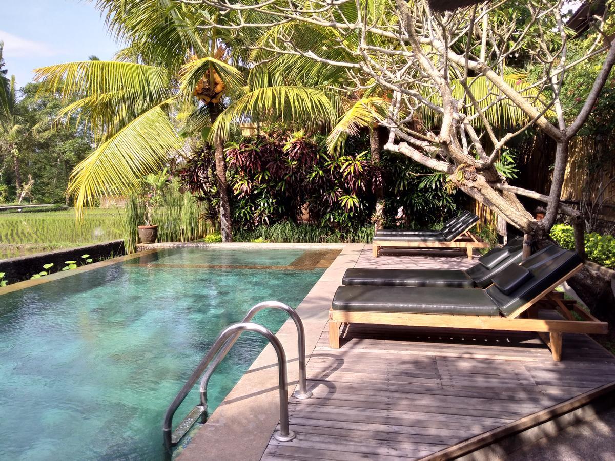 Ubud Lestari Bungalows Extérieur photo